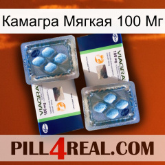 Камагра Мягкая 100 Мг viagra5